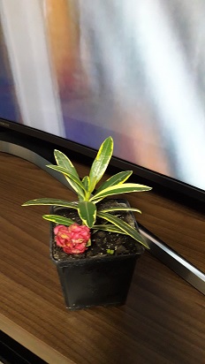 20170830_210408.jpg