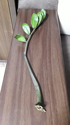 20170830_211021.jpg