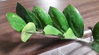 20170830_211143.jpg