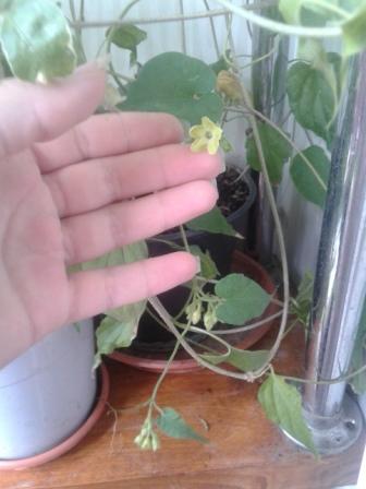 20170830_111855.jpg