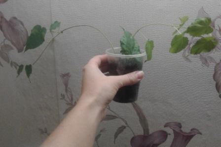 20170913_220345.jpg
