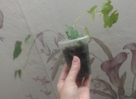 20170913_220400.jpg