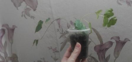 20170913_220409.jpg