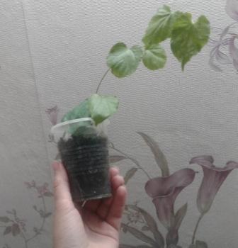 20170913_220415.jpg
