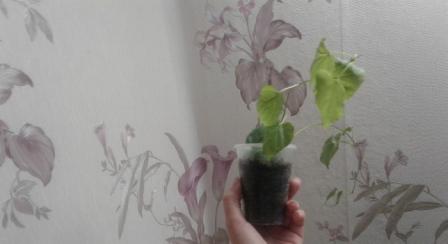 20170913_220426.jpg