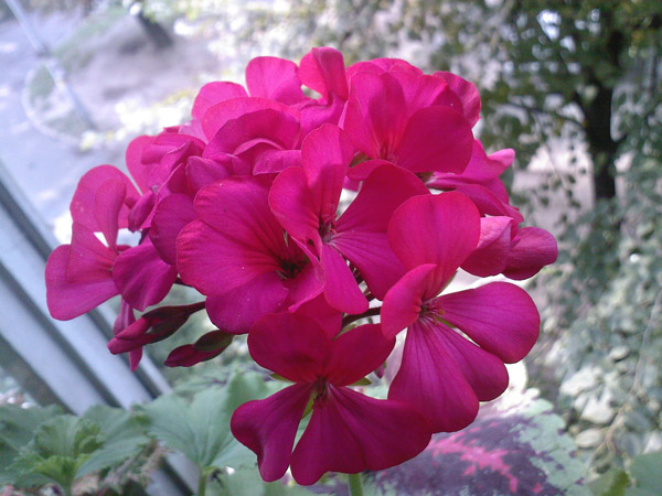 SP_A7264.jpg