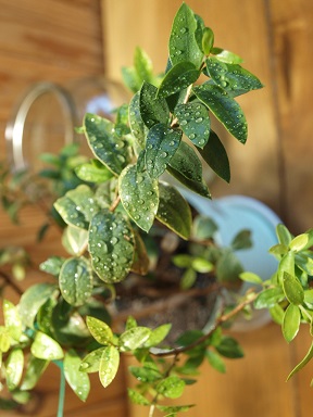 P929916-5.jpg