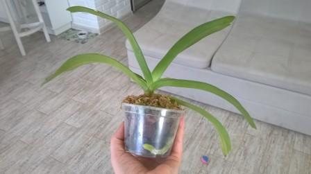 WP_20170927_014.jpg