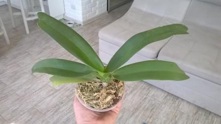 WP_20170927_013.jpg