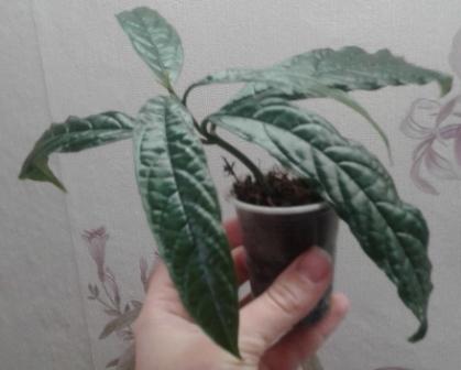 20171008_133704.jpg