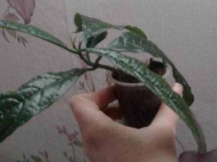 20171008_133718.jpg