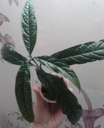20171008_133739.jpg