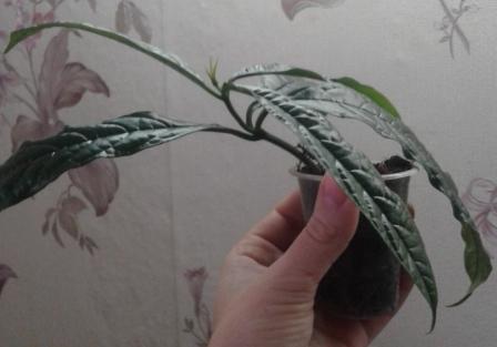 20171008_133745.jpg