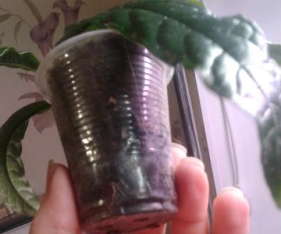 20171008_180936.jpg