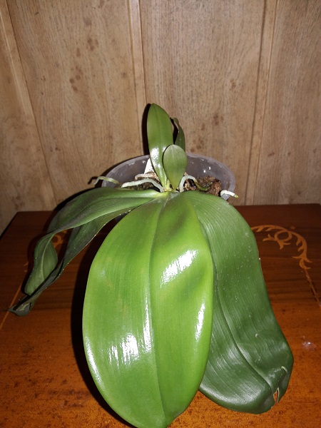 20171008_150734.jpg