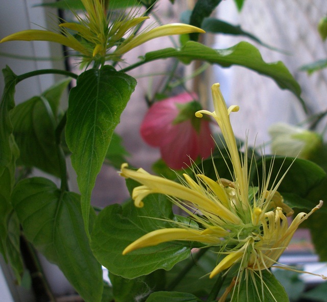 P1010143.JPG