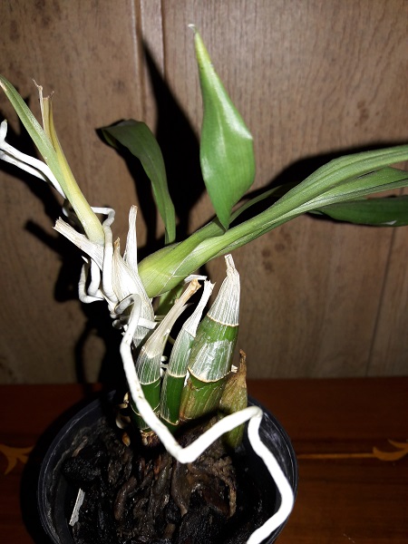 20171008_154124.jpg