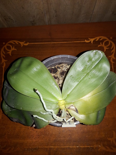 20171008_152210.jpg