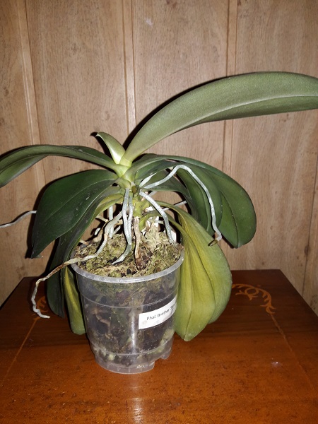 20171008_153005.jpg