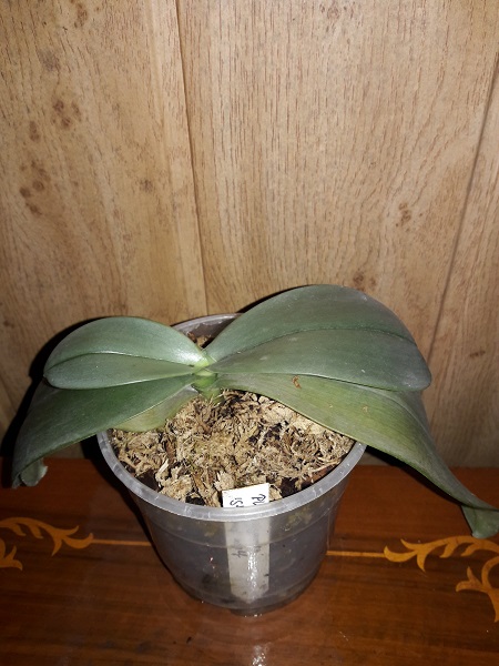 20171008_161435.jpg