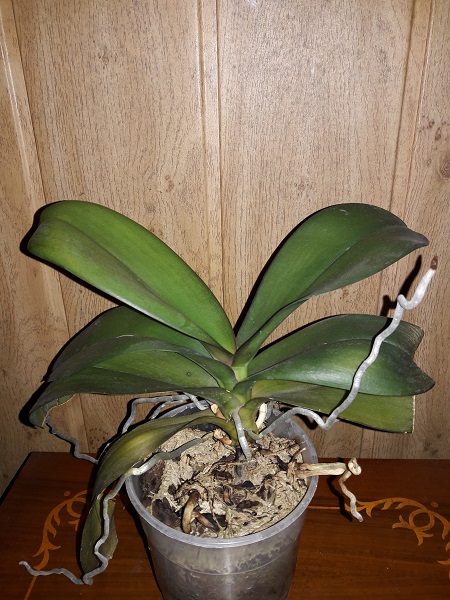 20171008_152647.jpg