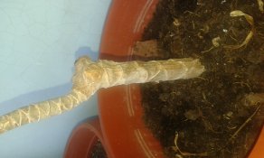 20171025_143919_292x175.jpg