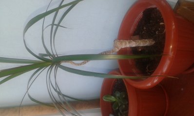 20171025_143924_398x239.jpg