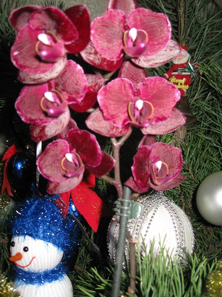 IMG_2038.JPG