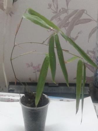 20171106_105020.jpg