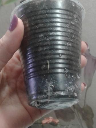 20171106_105204.jpg