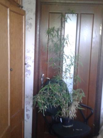 20170518_101537.jpg