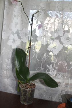 IMG_7178.jpg