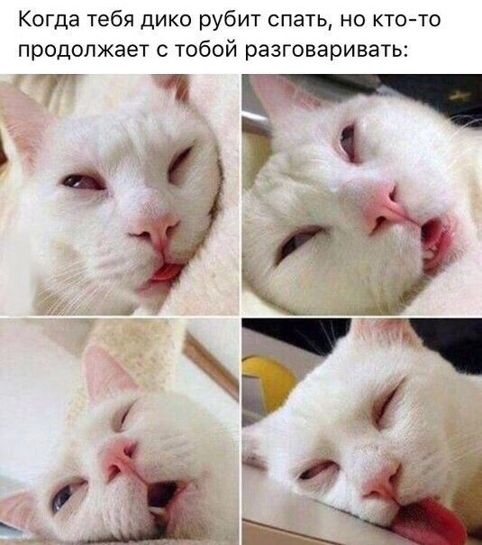 сон.jpg