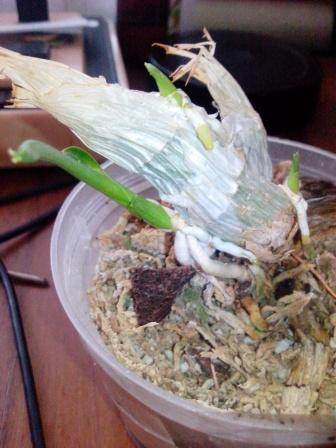 IMG_20171124_124455.jpg