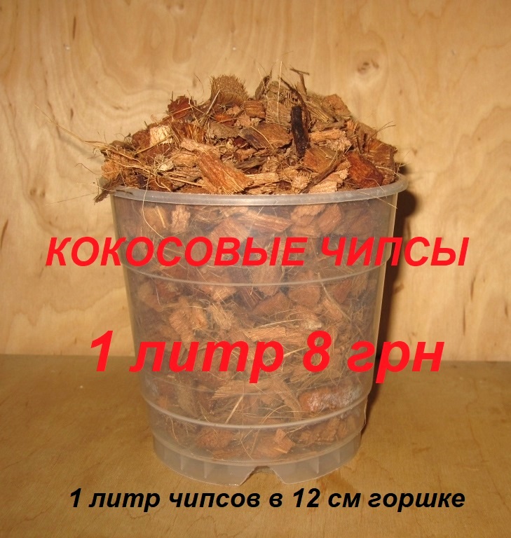 IMG_4382.jpg