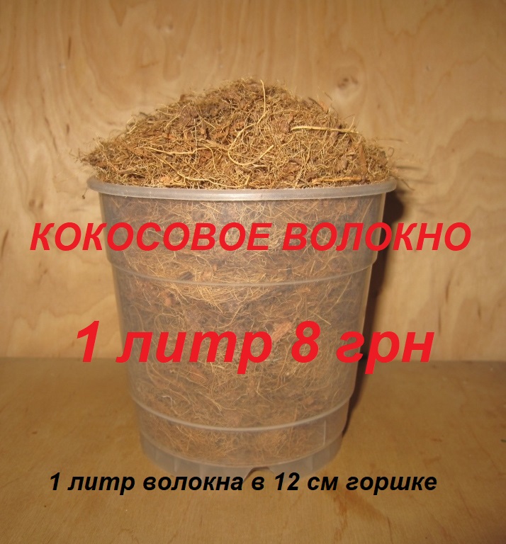 IMG_4408.jpg