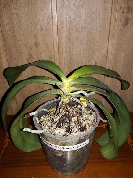 20171008_153055.jpg