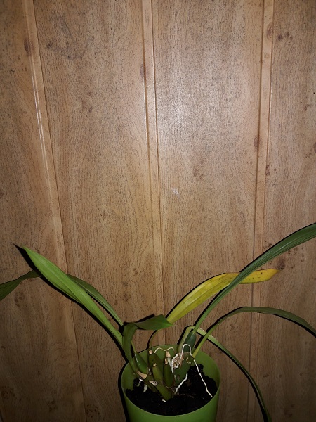 20171008_154356.jpg