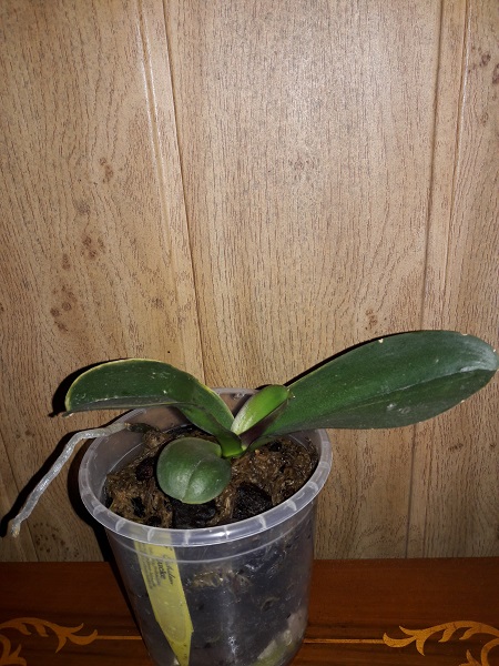 20171008_152432.jpg
