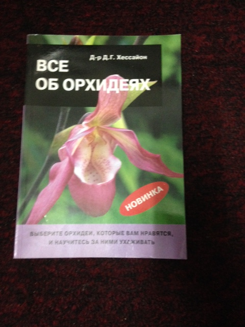 image2.JPG