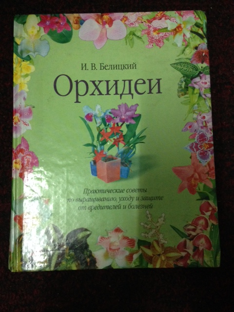 image4.JPG