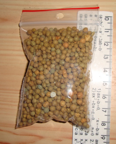 020_cr.jpg