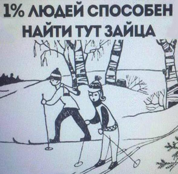 заяц.jpg