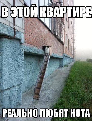 любят.jpg