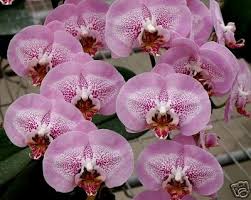 images-18.jpg