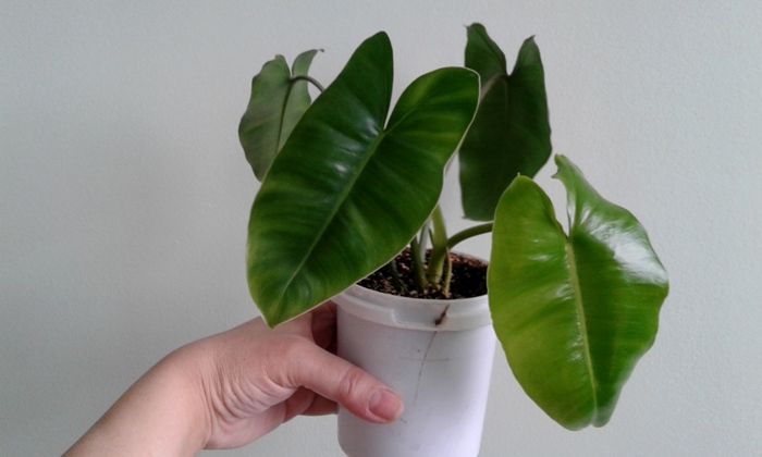 20180307_115429.jpg