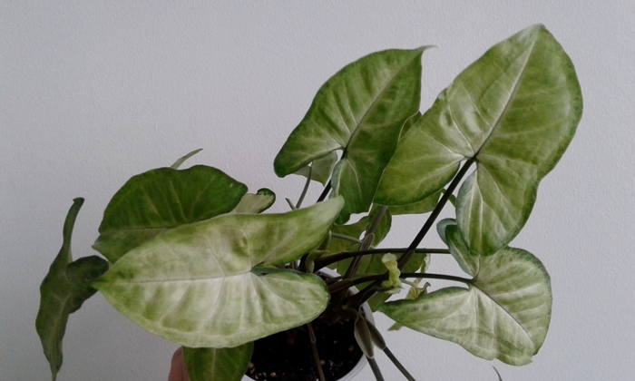 20180307_115349.jpg