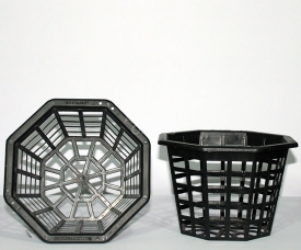 Orchid_Basket_15cm-275x275.jpg