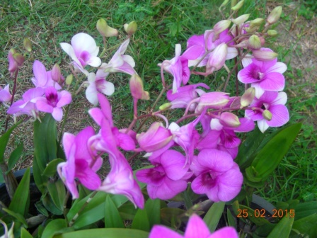 DSCN3220.JPG
