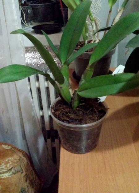 20180327_200129.jpg
